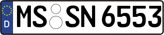 MS-SN6553