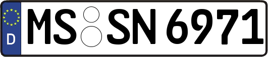 MS-SN6971