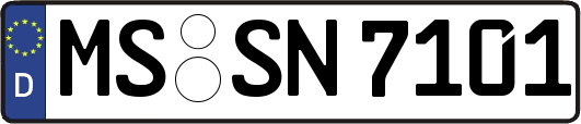 MS-SN7101