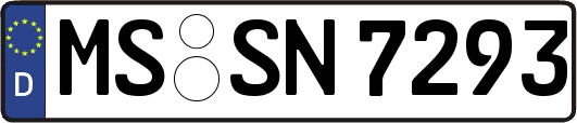 MS-SN7293