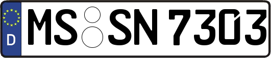 MS-SN7303