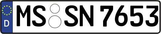 MS-SN7653
