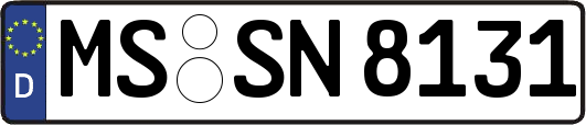 MS-SN8131