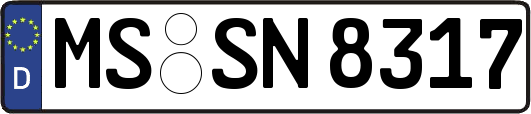 MS-SN8317