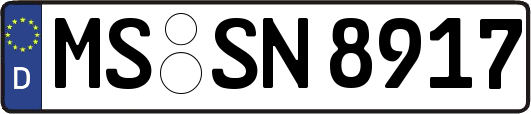 MS-SN8917