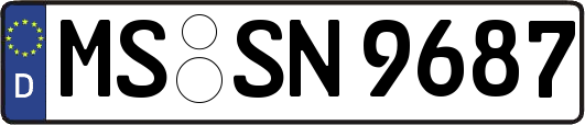 MS-SN9687
