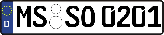 MS-SO0201