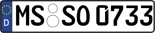 MS-SO0733