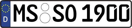 MS-SO1900