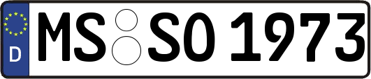 MS-SO1973