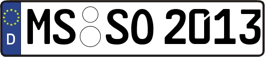 MS-SO2013