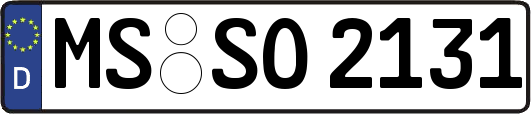 MS-SO2131
