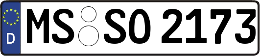 MS-SO2173