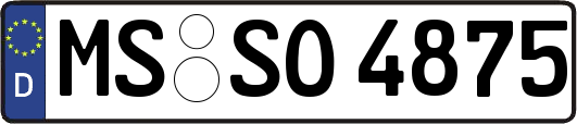 MS-SO4875
