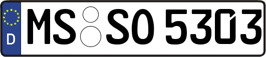 MS-SO5303