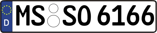 MS-SO6166