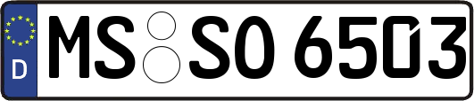 MS-SO6503