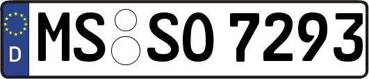 MS-SO7293