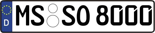 MS-SO8000