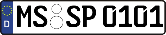 MS-SP0101