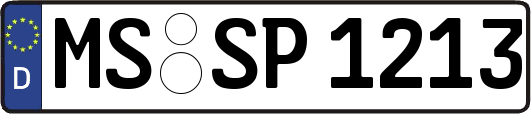 MS-SP1213