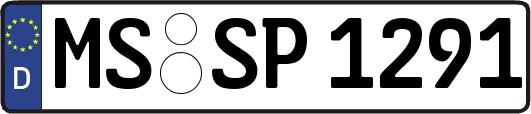 MS-SP1291