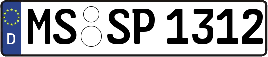 MS-SP1312