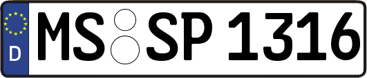 MS-SP1316