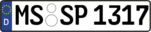 MS-SP1317