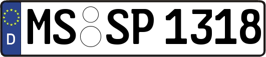 MS-SP1318