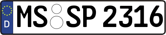 MS-SP2316