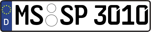 MS-SP3010