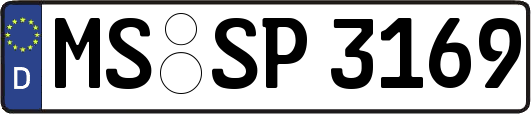 MS-SP3169