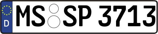 MS-SP3713