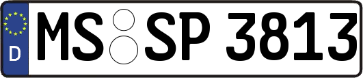 MS-SP3813