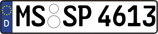 MS-SP4613