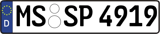 MS-SP4919