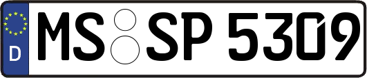 MS-SP5309