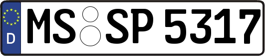 MS-SP5317