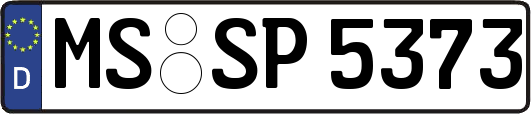 MS-SP5373