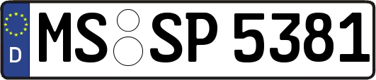 MS-SP5381