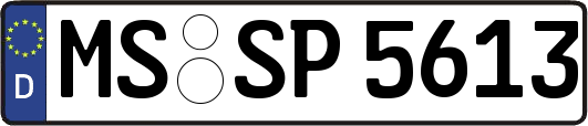 MS-SP5613