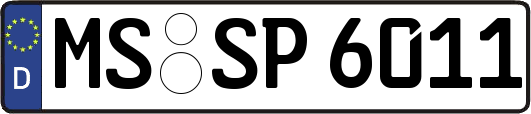 MS-SP6011