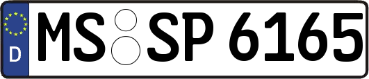 MS-SP6165