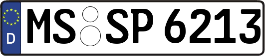 MS-SP6213