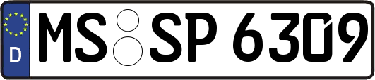 MS-SP6309