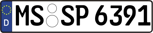 MS-SP6391