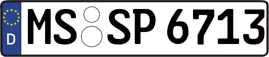 MS-SP6713