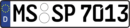 MS-SP7013