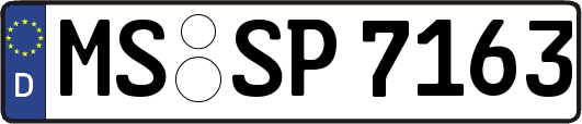 MS-SP7163